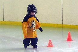 images_for_learning_to_play_hockey_1.jpg
