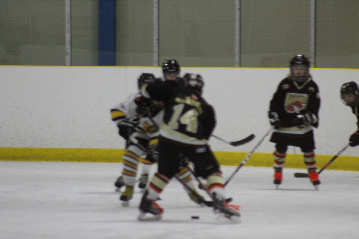 IMG_rw0553.JPG