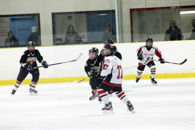 IMG_1109b.jpg