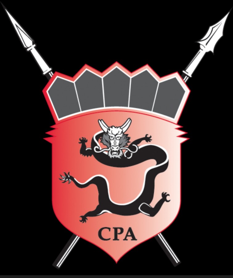 CPA International Investigations Inc