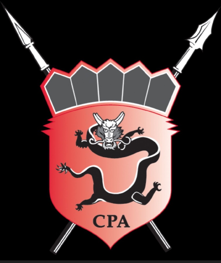 CPA International Investigation Inc